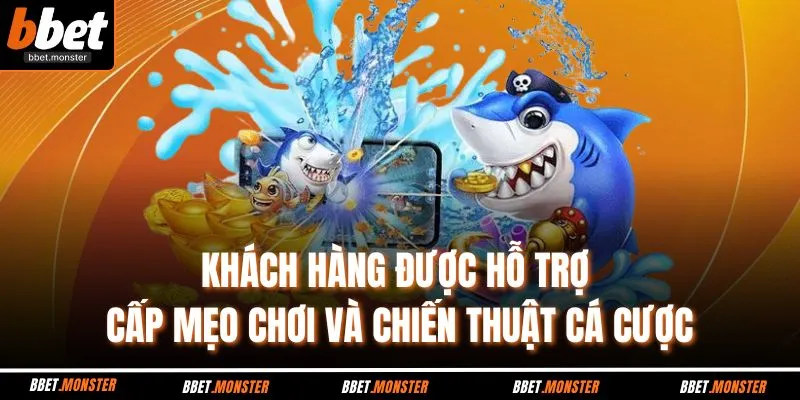 Khách hàng được hỗ trợ cấp mẹo chơi và chiến thuật cá cược 
